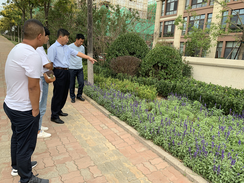 20.園林公司赴威?？疾煲计纺仙巾椖?jpg