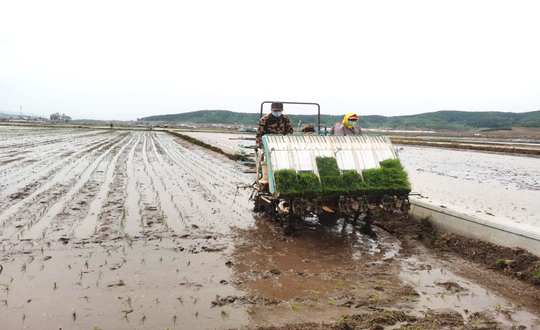 14 國(guó)信農(nóng)業(yè)水稻插秧現(xiàn)場(chǎng)_副本.png 14 國(guó)信農(nóng)業(yè)水稻插秧現(xiàn)場(chǎng)_副本.png