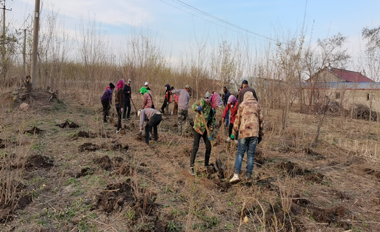 6 園林綠化公司晶雙合作社工人辛勤勞作_副本.jpg 6 園林綠化公司晶雙合作社工人辛勤勞作_副本.jpg