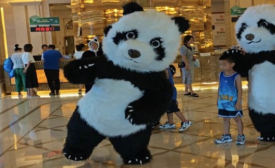 27.酒店公司暑期特別企劃熊貓人偶互動(dòng)現(xiàn)場_副本.jpg 27.酒店公司暑期特別企劃熊貓人偶互動(dòng)現(xiàn)場_副本.jpg