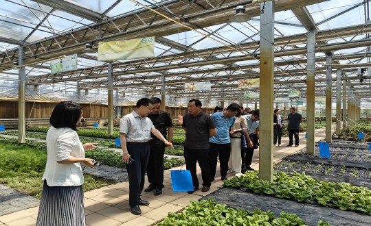 29.中國綠色食品發(fā)展中心相關(guān)領(lǐng)導(dǎo)蒞臨農(nóng)業(yè)總公司考察調(diào)研_副本.jpg 29.中國綠色食品發(fā)展中心相關(guān)領(lǐng)導(dǎo)蒞臨農(nóng)業(yè)總公司考察調(diào)研_副本.jpg